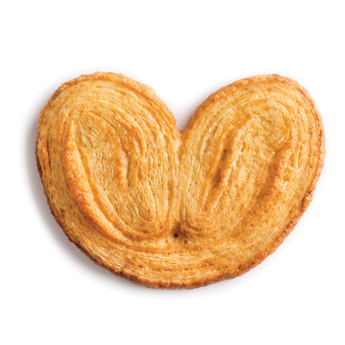 Molco Palmier
